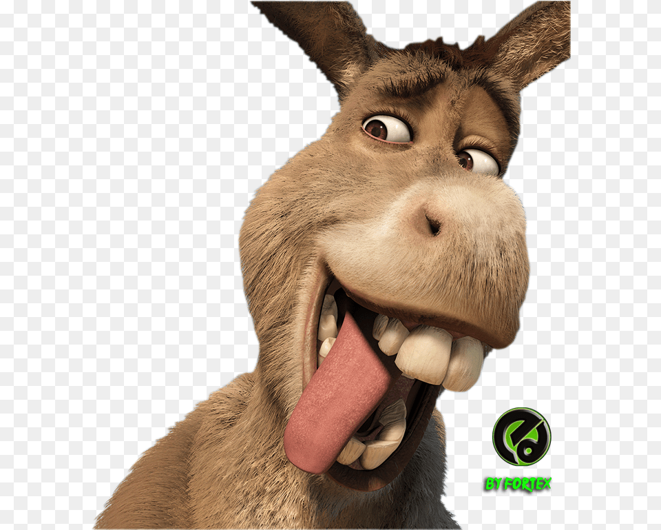 Smiling Donkey Shrek Cartoon To Real Life, Animal, Mammal, Bear, Wildlife Png Image