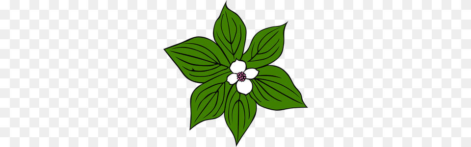 Smiling Flower Clip Art, Leaf, Plant, Anemone, Annonaceae Free Png