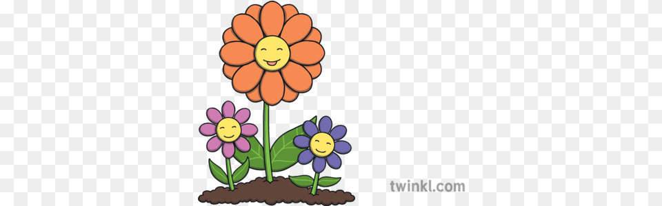Smiling Flowers Cartoon Plants Mothers Day Ks1 Illustration Plant Flower Cartoon, Daisy, Petal, Art, Floral Design Png Image
