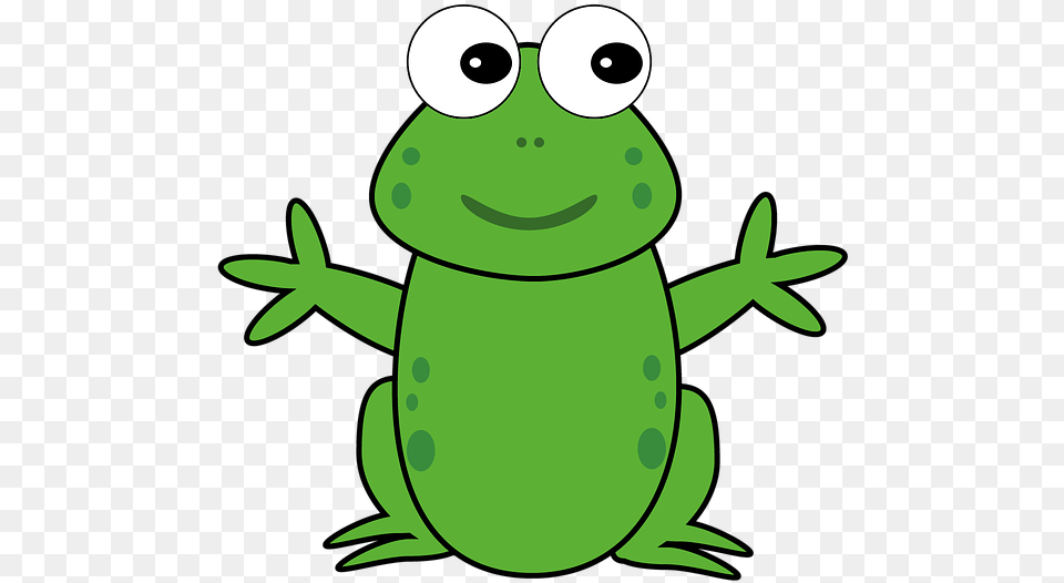 Smiling Frog, Amphibian, Animal, Wildlife, Green Png Image