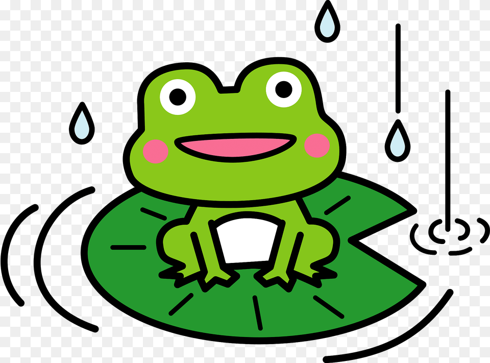 Smiling Frog In The Rain Clipart, Amphibian, Animal, Wildlife, Green Png Image