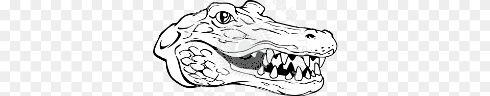 Smiling Gator Head, Animal, Baby, Crocodile, Person Free Transparent Png