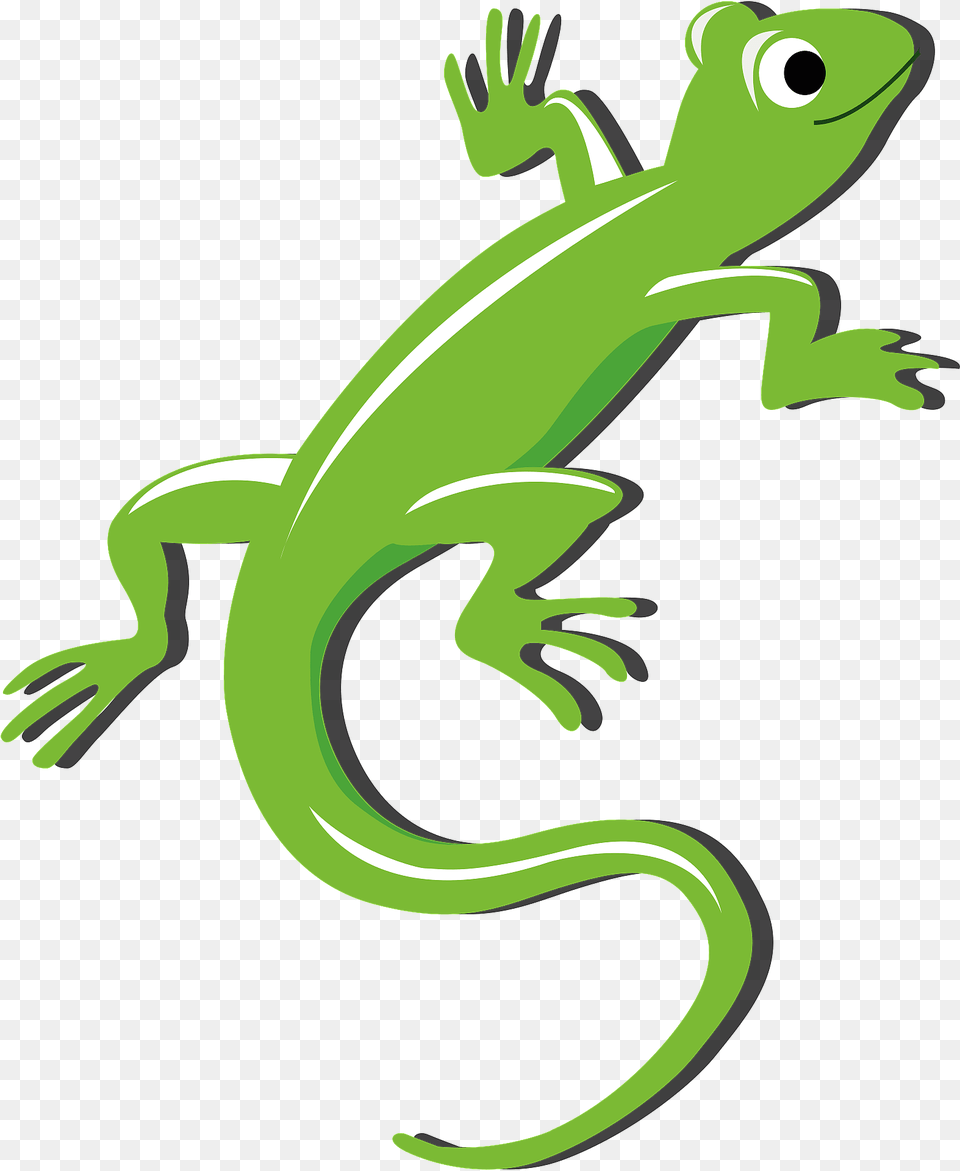 Smiling Lizard Clipart, Animal, Gecko, Reptile, Green Lizard Free Png