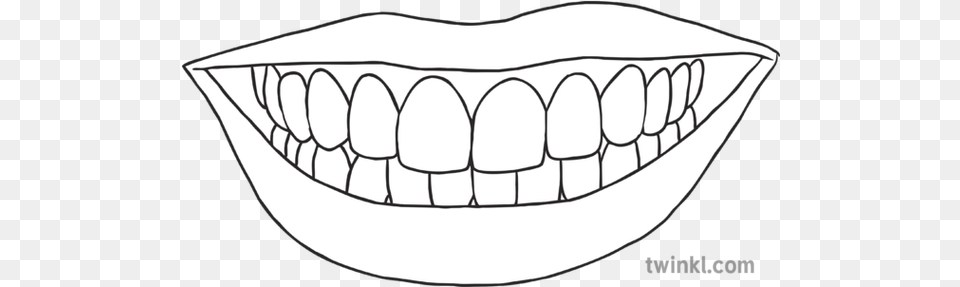 Smiling Mouth With Teeth Science Ks2 Black And White Rgb Line Art, Body Part, Person Png Image