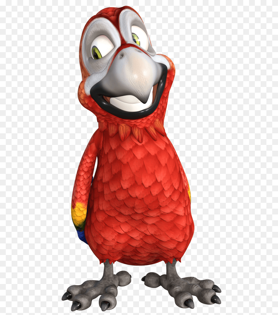 Smiling Parrot Clipart, Animal, Beak, Bird Png Image