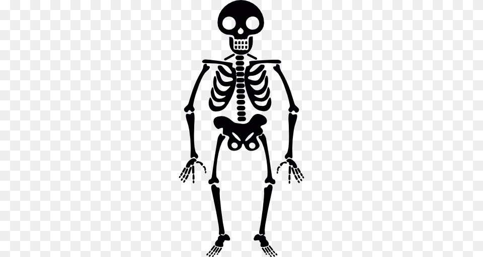 Smiling Skeleton, Person, Face, Head Png Image