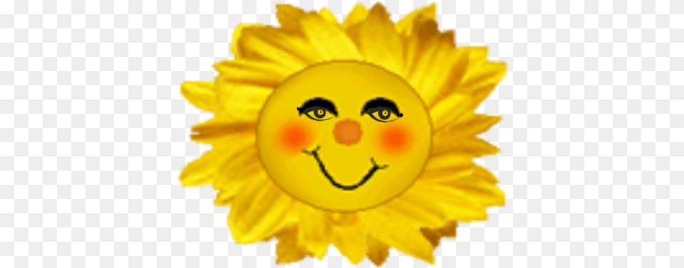 Smiling Sun Depression Tribe Sunflower, Plant, Flower, Petal, Daisy Png Image