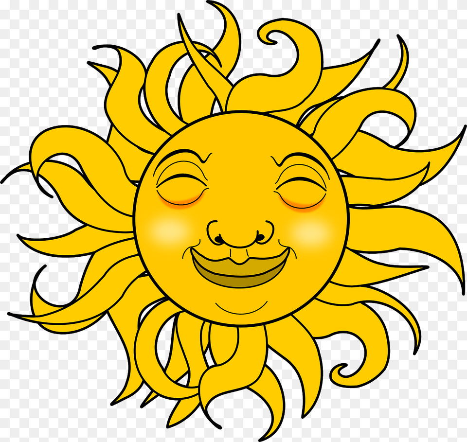Smiling Sun Gif, Flower, Plant, Sunflower, Face Free Transparent Png