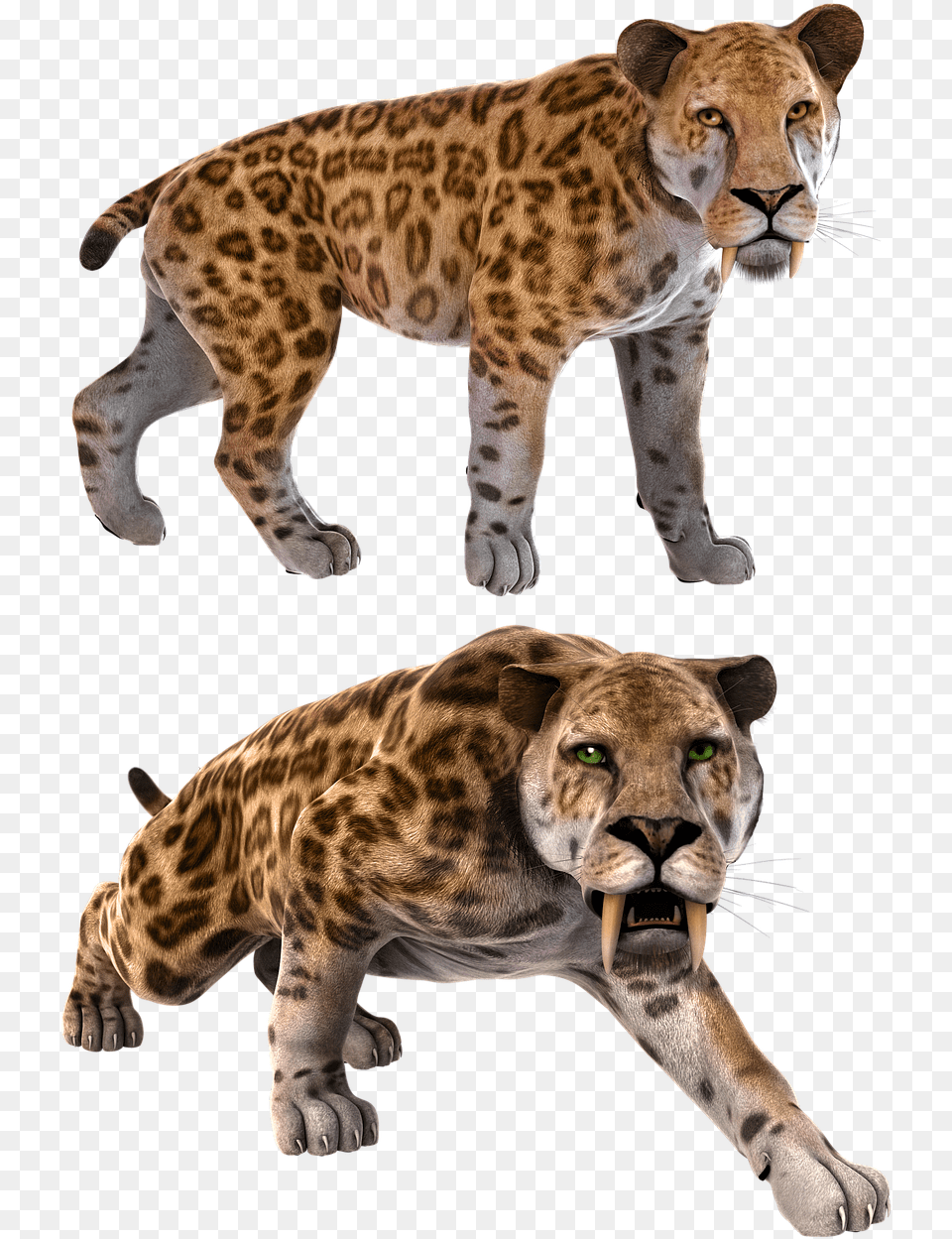 Smilodon Sabertooth Sabertoothed Smilodon Animal, Wildlife, Cheetah, Mammal Free Transparent Png