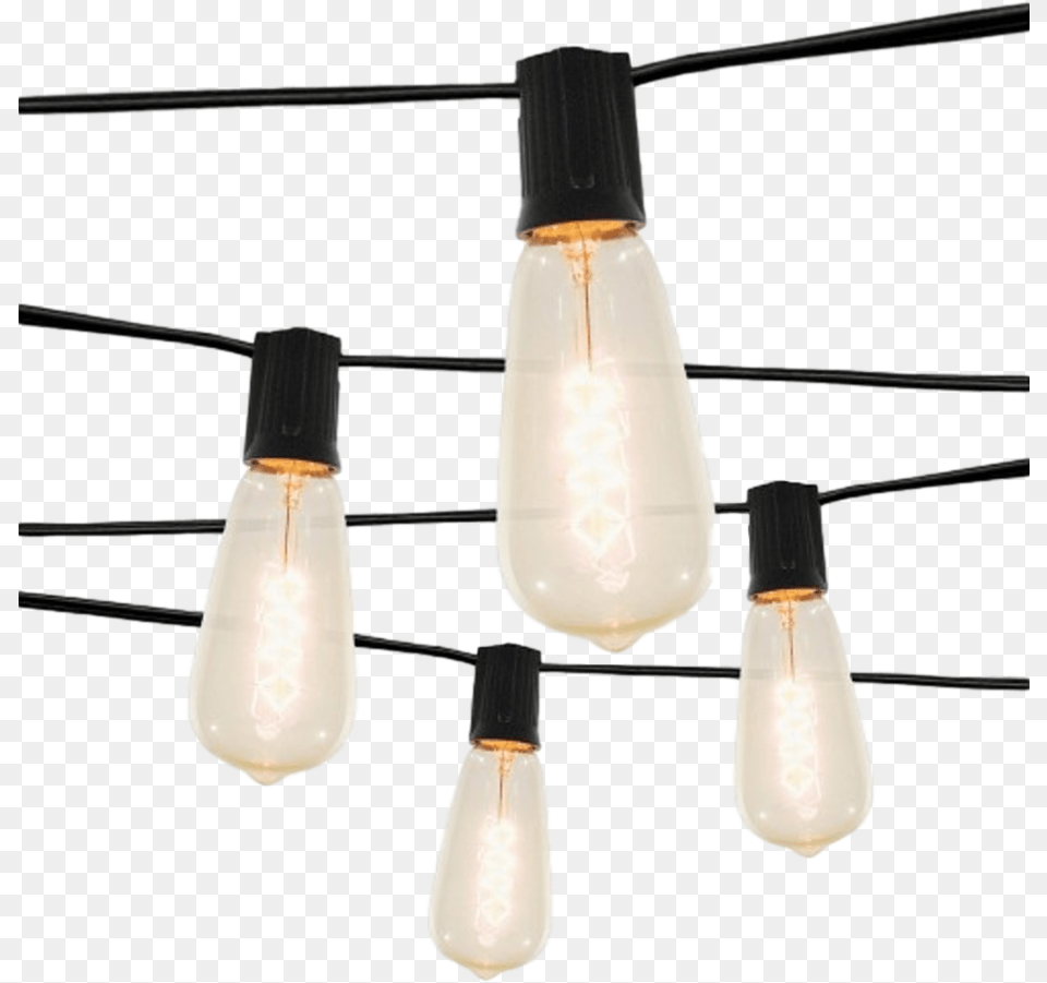 Smith And Hawken 10 String Lights, Light, Lightbulb, Appliance, Ceiling Fan Free Png Download