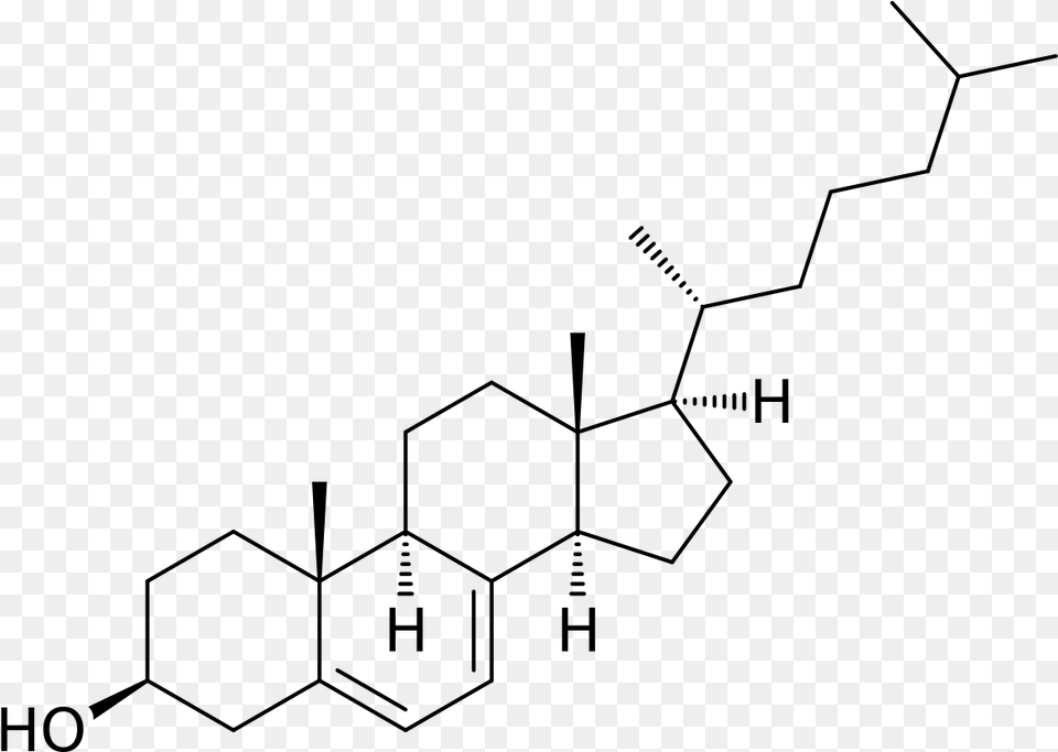 Smith Lemli Opitz Syndrome Dna 7 Dehydrocholesterol, Gray Png