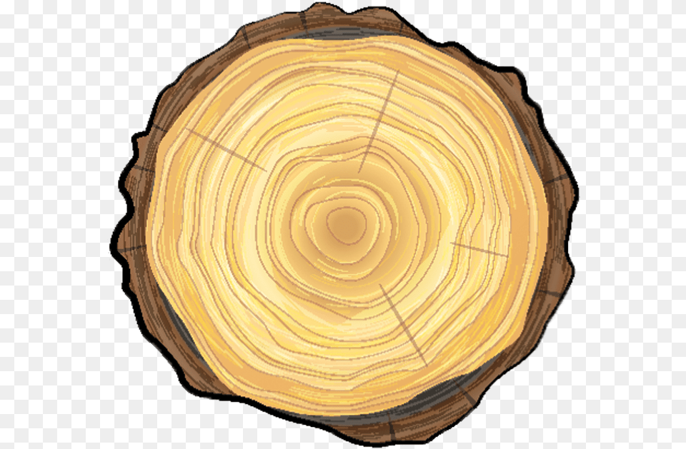 Smittys Tree Care Tree Trunk Top, Lumber, Plant, Wood, Person Png Image