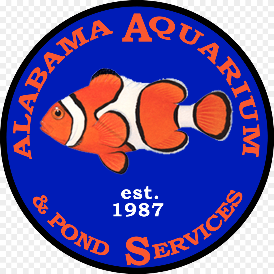 Smk Ar Rahman Watusalam, Animal, Badge, Fish, Logo Png Image