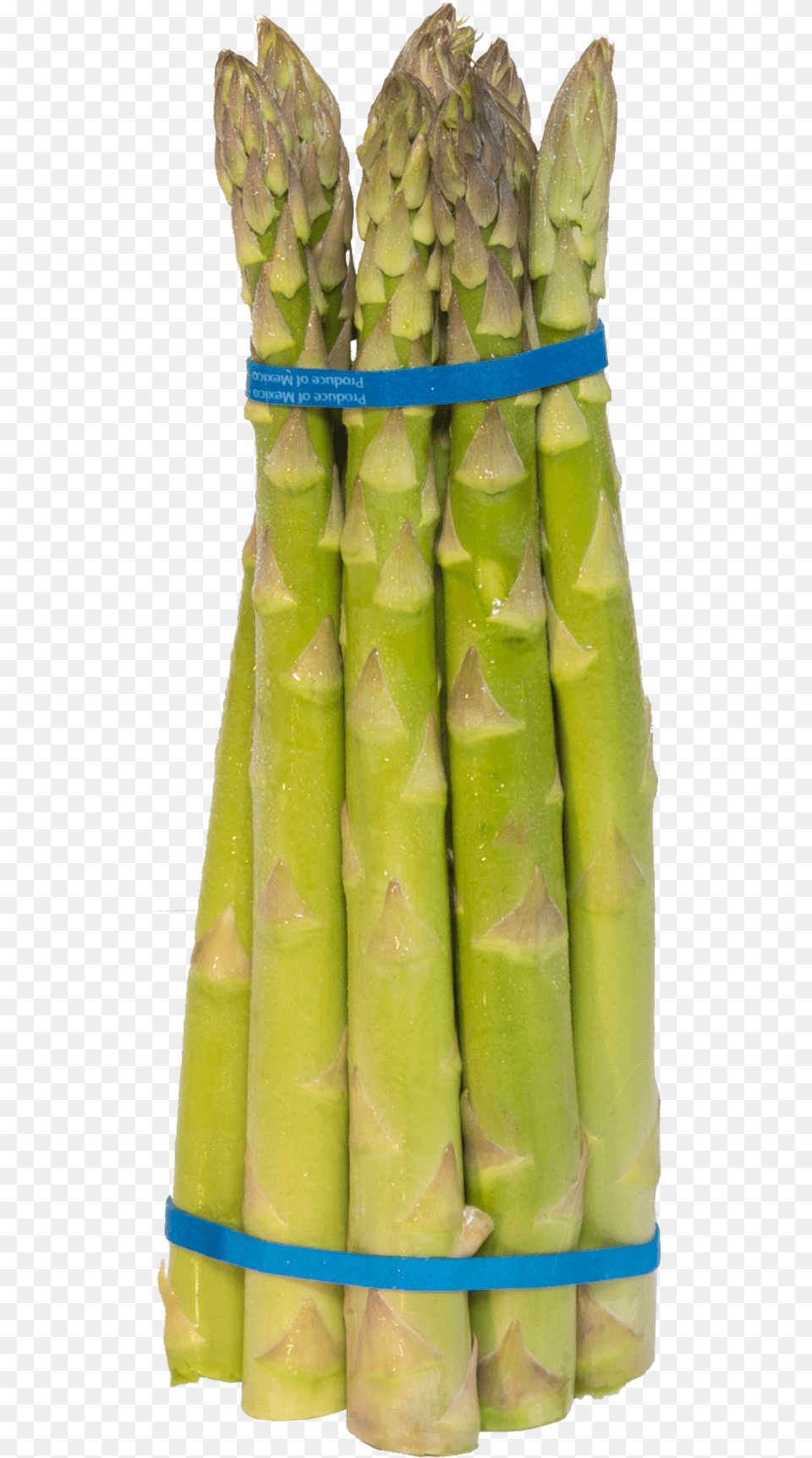 Sml Bamboo, Asparagus, Food, Plant, Produce Free Png