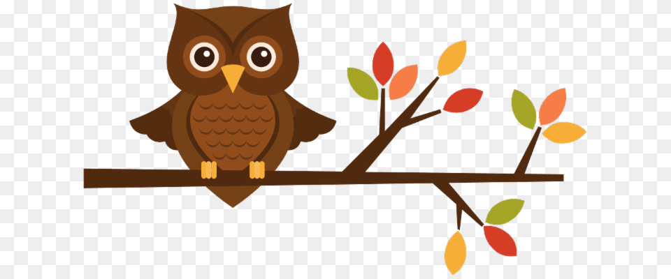 Smm School Newsletter Vol, Animal, Bird, Owl Free Transparent Png