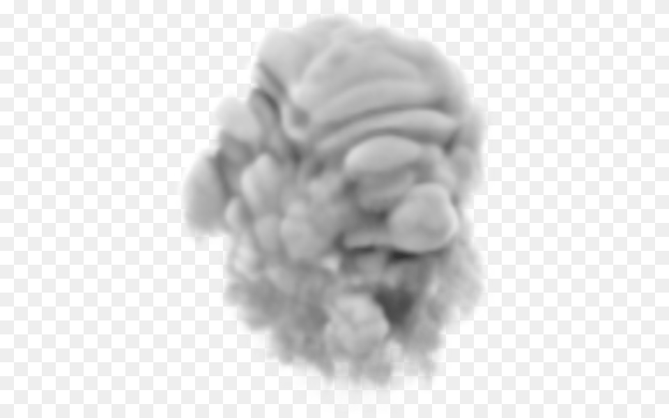 Smoke, Baby, Head, Person Png
