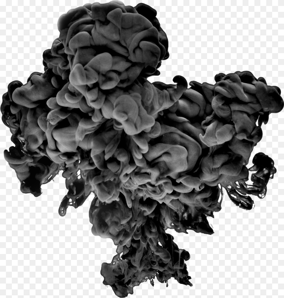 Smoke Black Grey Effects Effect Tree, Flower, Plant, Rose Free Png