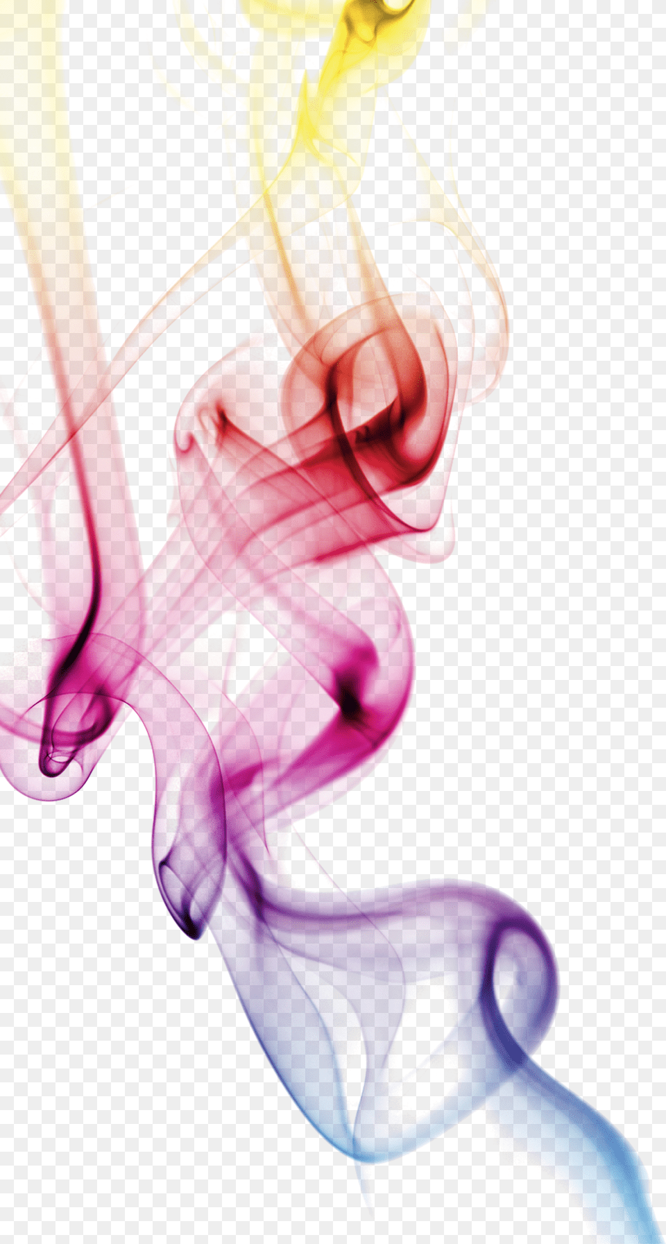 Smoke Rainbow Effect Ftestickers Stickers Autocollants Rainbow Smoke, Plant, Pattern Free Transparent Png