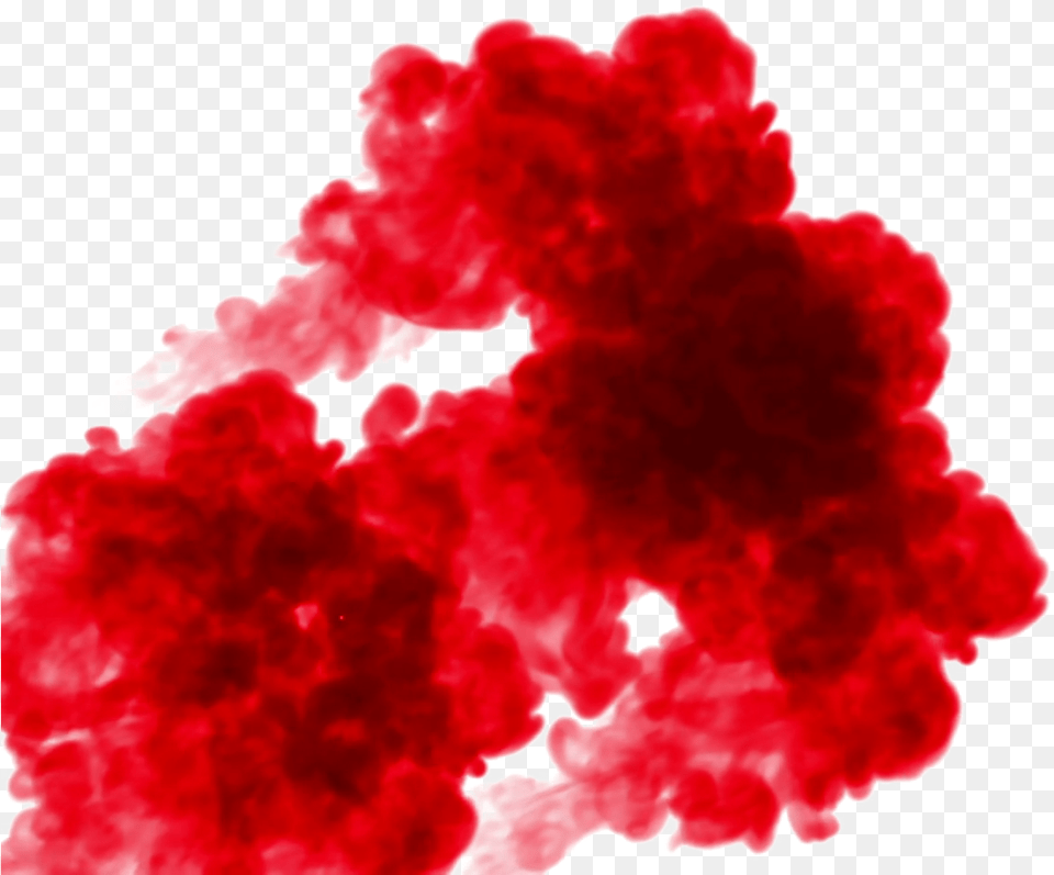 Smoke Red Smoke, Person, Carnation, Flower, Plant Free Transparent Png