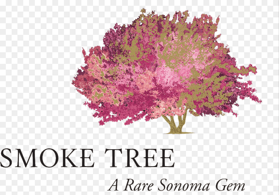 Smoke Tree Wine Logo, Flower, Plant, Vegetation, Outdoors Png Image
