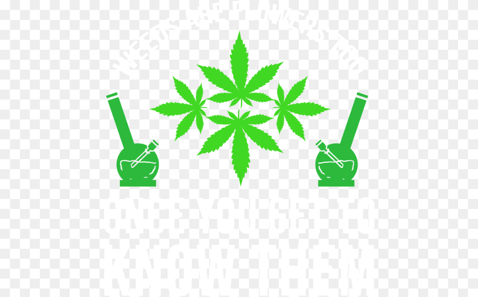 Smoke Weed Cannabis Hash Dope Ganja Blunt Bong Greeting Card Emblem, Leaf, Plant, Green Png Image