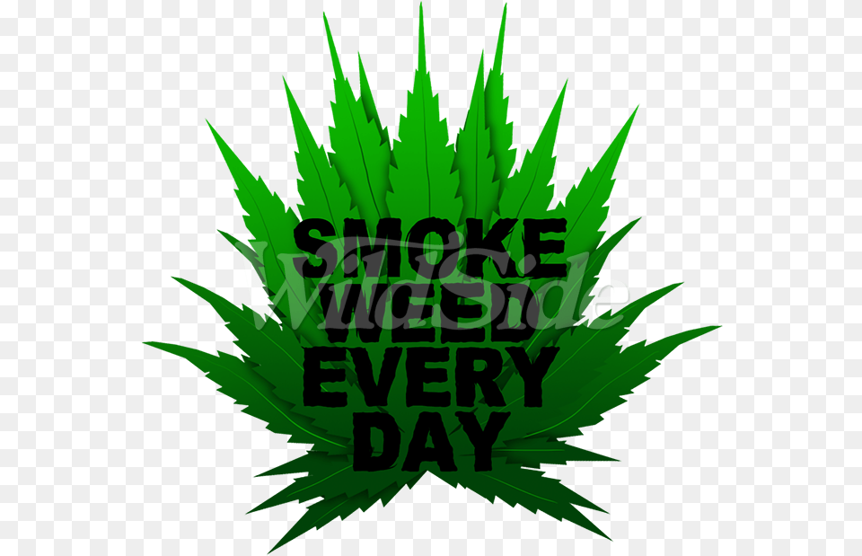 Smoke Weed Every Day Marijuana Lovers Pot Leaf 420 Illustration, Green, Plant Free Png Download