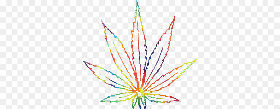 Smoke Weed Everyday Transparent Marijuana Cannabis Highlife Outline Weed Plant Tattoo, Fireworks, Pattern, Accessories Free Png Download