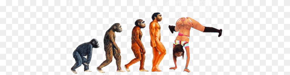 Smoke Weed Twerking Sticker Bored Drugs Funny Edit Meow Gif Evolution Of Man Gif, Adult, Person, Monkey, Mammal Png