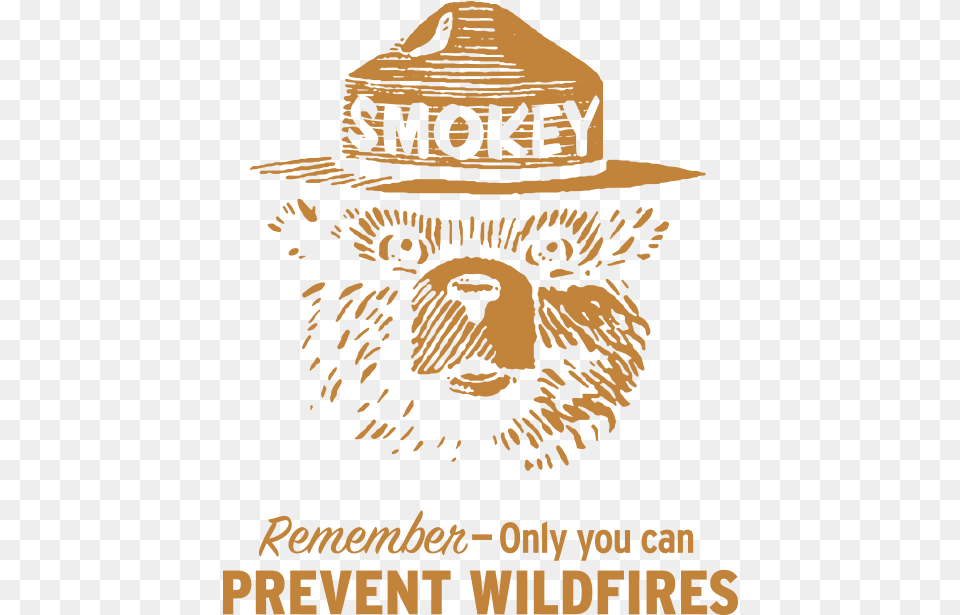 Smokey Graphic Design, Advertisement, Clothing, Hat, Poster Free Transparent Png
