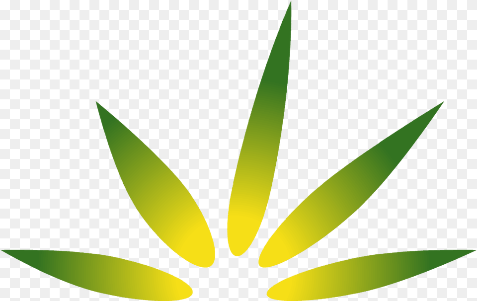 Smoking Blunt Hemp, Leaf, Plant, Logo, Green Png Image