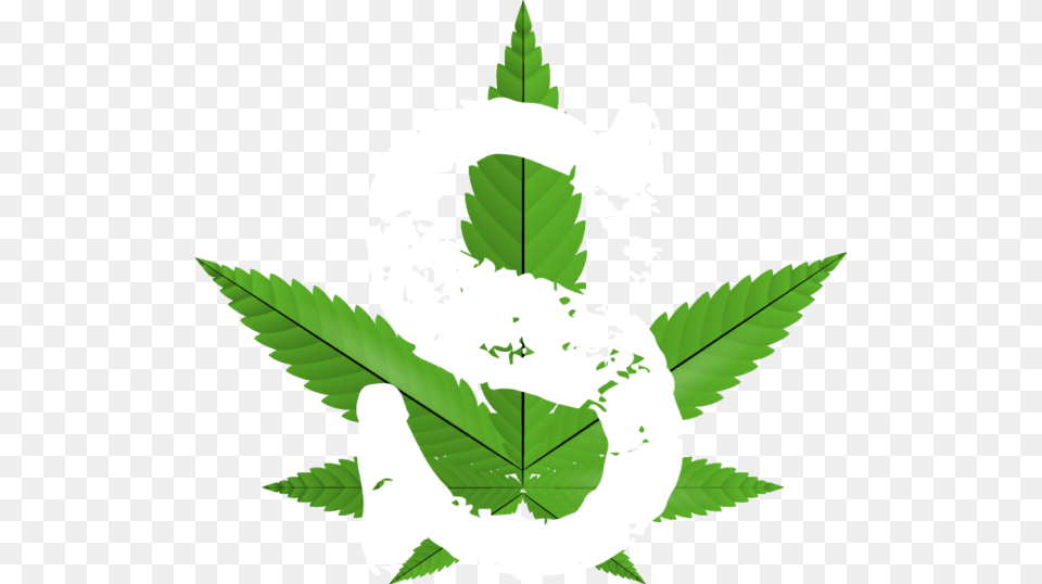 Smoks S Logo Cannabis, Leaf, Plant, Baby, Person Free Png Download