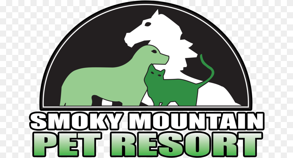 Smoky Pet Resort New, Animal, Bear, Mammal, Wildlife Free Png