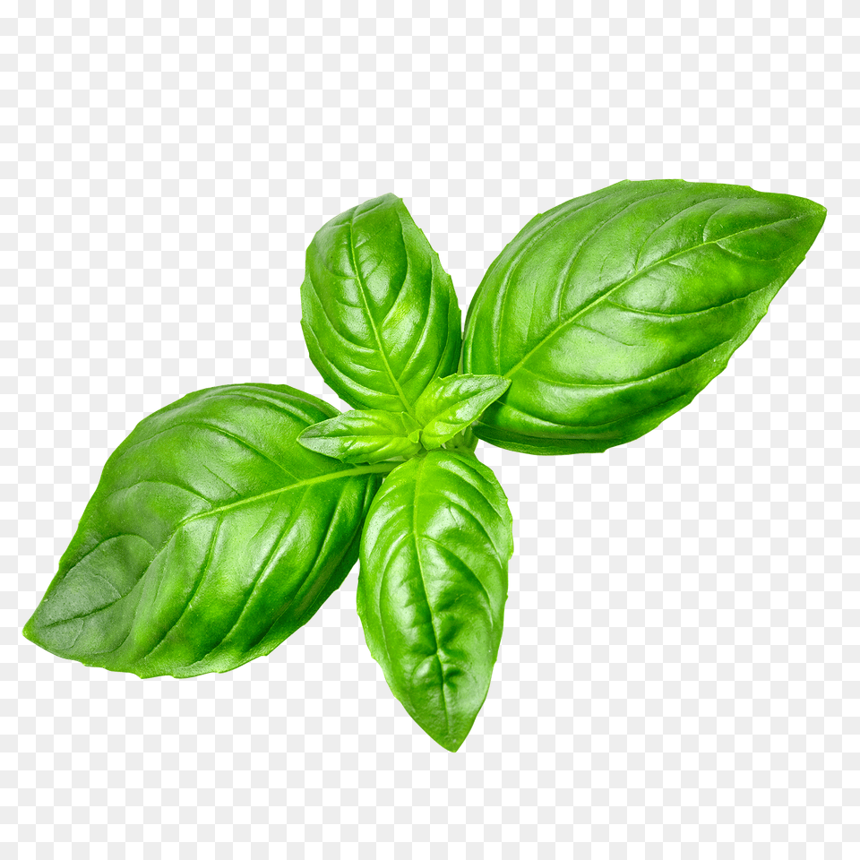 Smoothie Recipe Builder Now Foods, Herbal, Herbs, Leaf, Mint Free Png