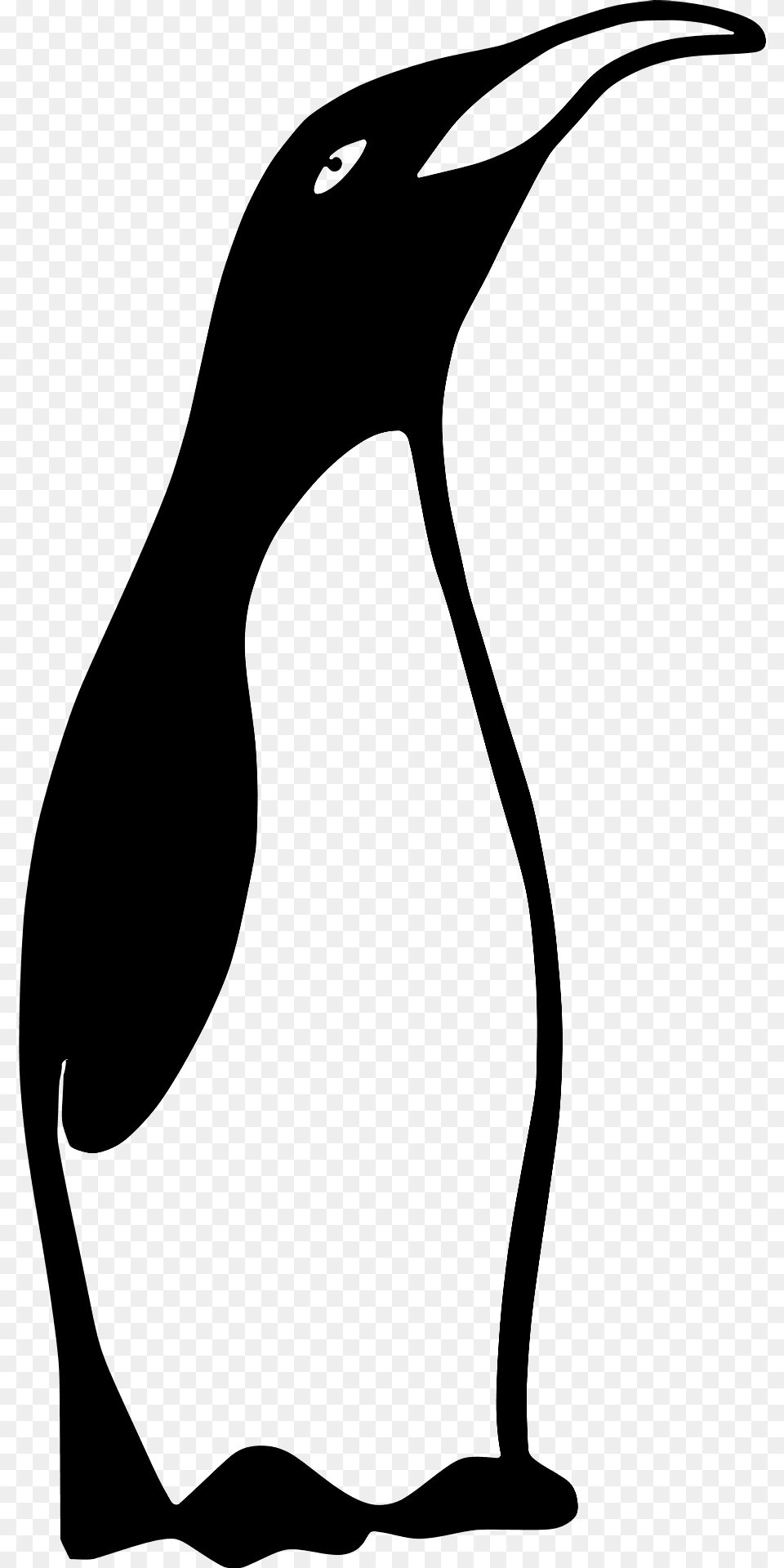 Smug Penguin Clipart, Animal, Beak, Bird, Kangaroo Free Png