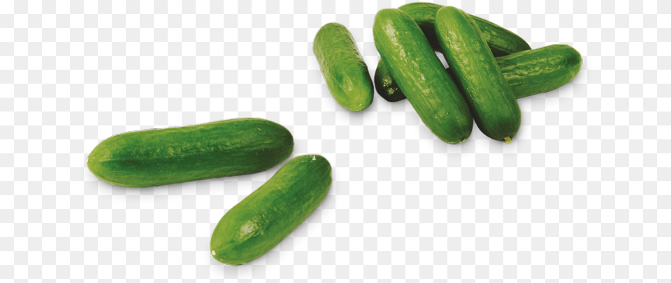 Snack Cucumbers Mini Komkommers, Cucumber, Food, Plant, Produce Png