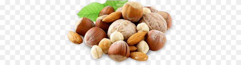 Snacks The Best Organic Snacks From Around The World Seed Hazelnut Toronto Canada, Food, Nut, Plant, Produce Free Png