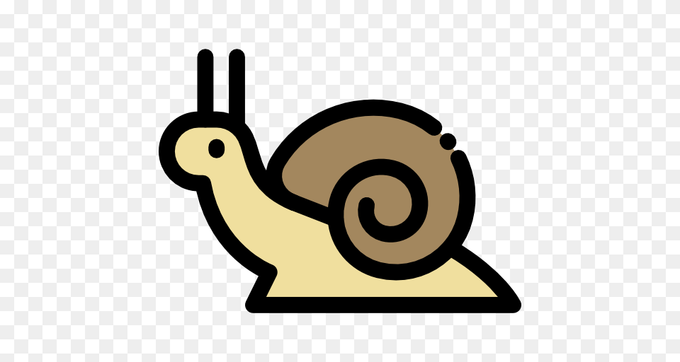 Snail, Animal, Invertebrate, Device, Grass Free Png Download