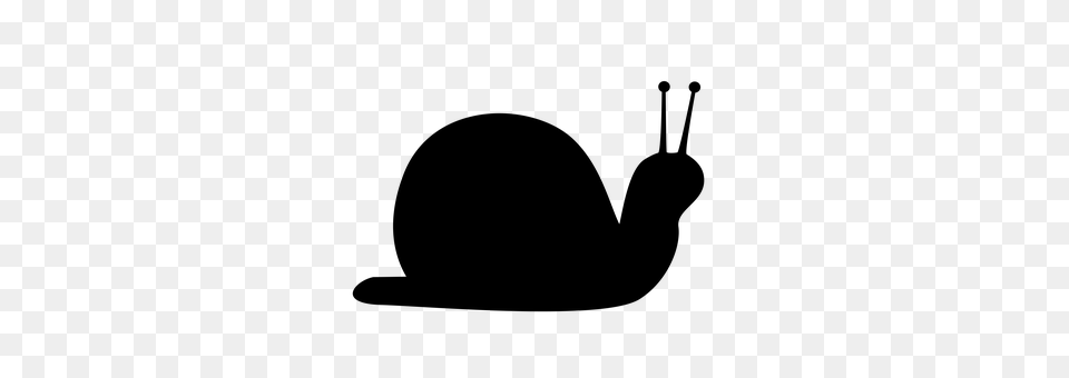 Snail Gray Free Transparent Png