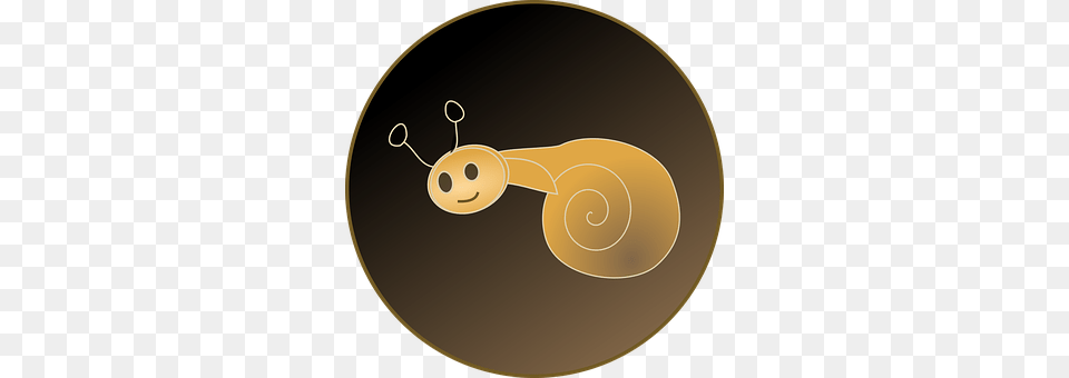 Snail Disk, Animal Free Transparent Png