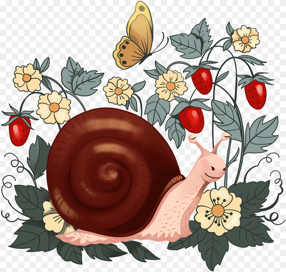 Snail, Animal, Invertebrate, Plate Free Transparent Png