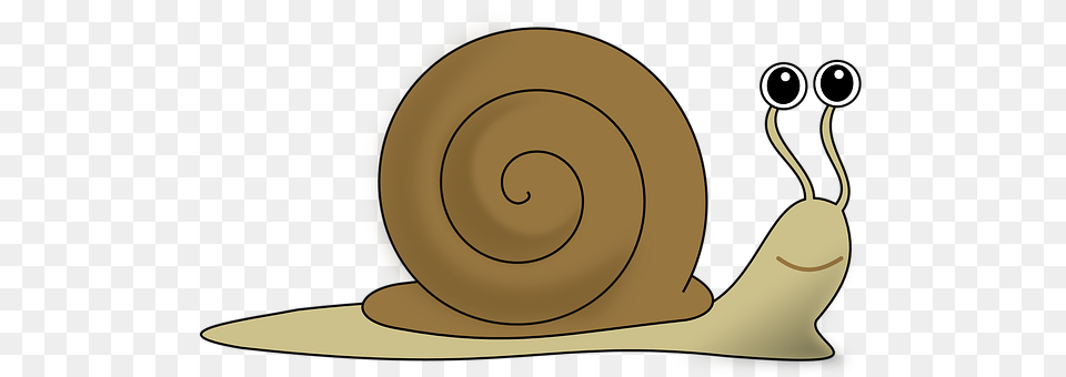 Snail Animal, Invertebrate, Disk Free Transparent Png