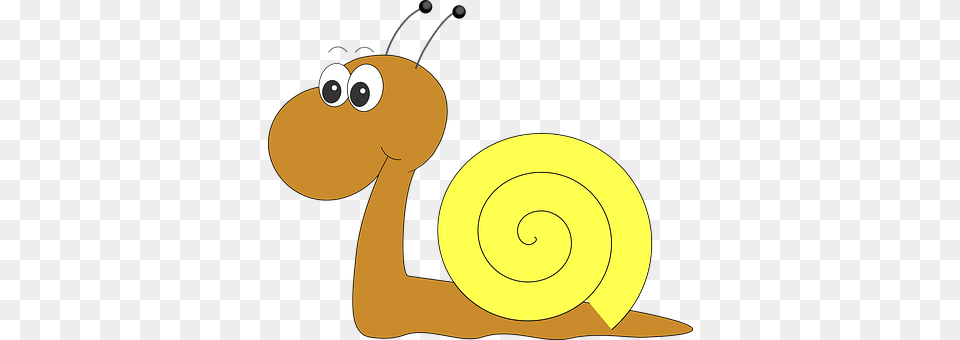 Snail Animal, Invertebrate Free Transparent Png