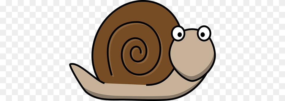 Snail Animal, Invertebrate, Disk Free Png Download