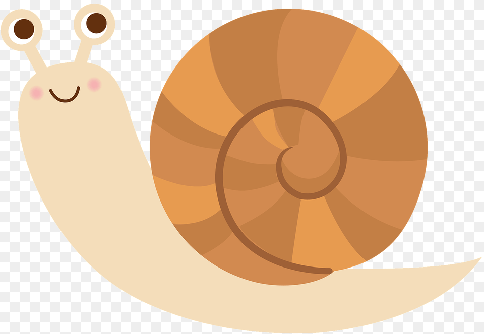 Snail Animal Clipart, Invertebrate Png