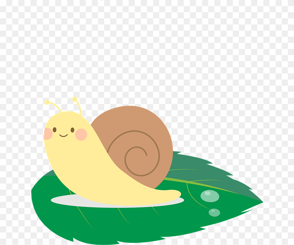 Snail Animal Clipart Sea Snail, Invertebrate Free Png