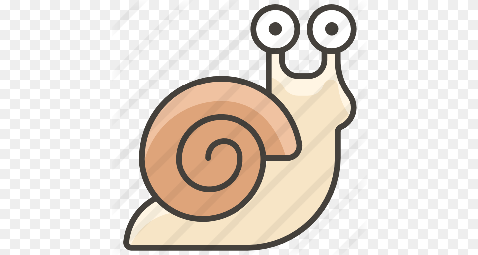 Snail Animals Icons Caracol Icono, Animal, Invertebrate Png