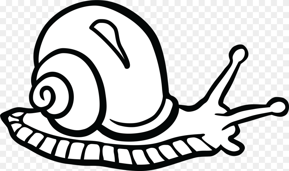 Snail Black And White Free Clipart Of A Snail, Animal, Invertebrate, Smoke Pipe Png Image