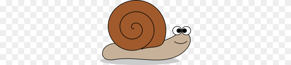 Snail Clip Art, Animal, Invertebrate Png