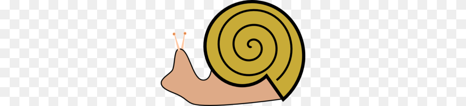 Snail Clip Art, Spiral, Animal, Invertebrate, Disk Free Transparent Png