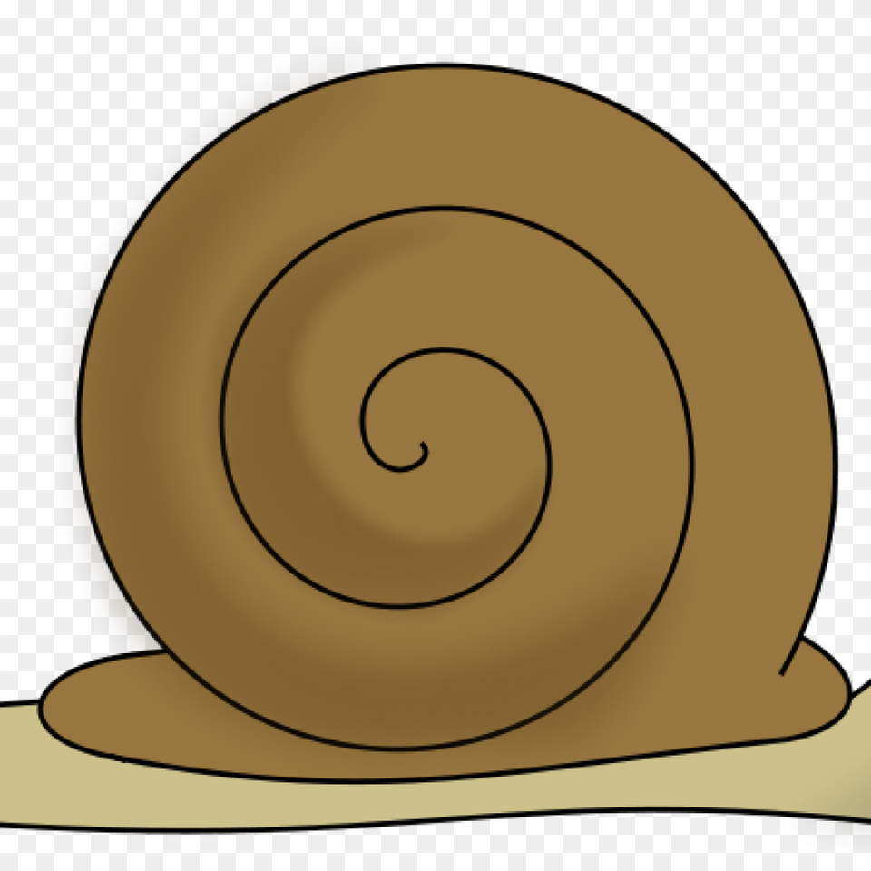 Snail Clip Art Clipart Download, Animal, Invertebrate, Spiral, Disk Free Transparent Png